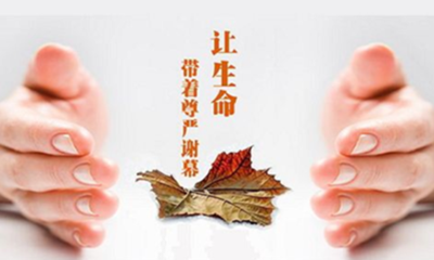 临终关怀